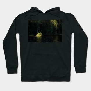Small island in sunlight at lake shore Hoodie